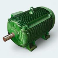 Imagem do produto Motor Elétrico 300 Cv 6 Polos 440/760 V WEG